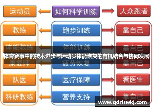 体育赛事中的技术进步与运动员体能恢复的有机结合与协同发展
