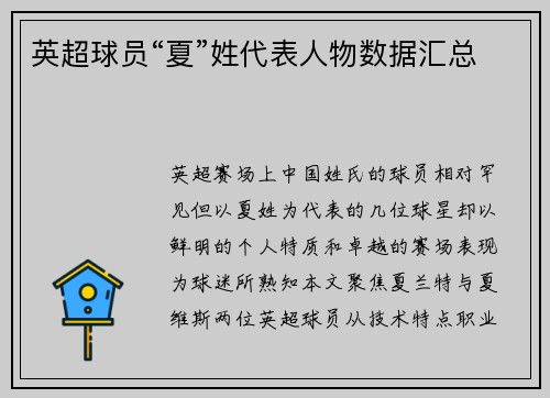 英超球员“夏”姓代表人物数据汇总
