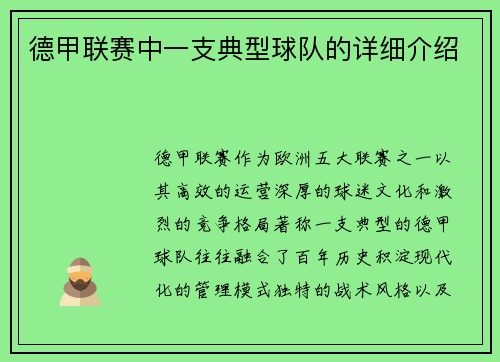 德甲联赛中一支典型球队的详细介绍