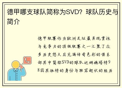 德甲哪支球队简称为SVD？球队历史与简介